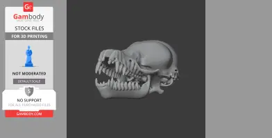 Bathygnathus Skull - Skull Replica STL