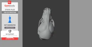 Bathygnathus Skull - Skull Replica STL