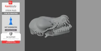 Bathygnathus Skull - Skull Replica STL
