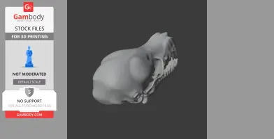 Bathygnathus Skull - Skull Replica STL