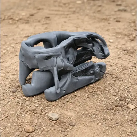 Batyrosaurus Skull - Skull Replica STL