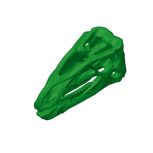 Batyrosaurus Skull.3mf