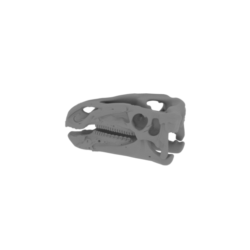 Batyrosaurus Skull.stl