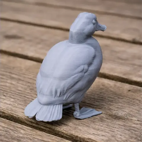 Andean duck - Prehistoric Animal STL