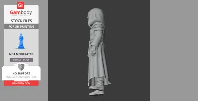 Cultist - Terraria Figurine - Character Figure STL