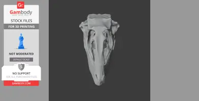 3D model of a Boreonykus skull replica, displayed for 3D printing use.