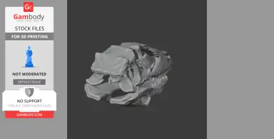 3D model of a Boreonykus dinosaur skull, suitable for 3D printing.