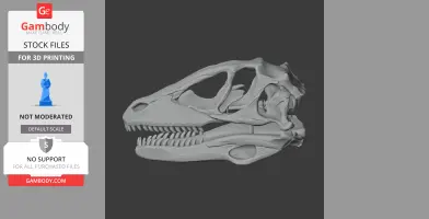 3D model of a Boreonykus skull, detailed and ready for 3D printing.