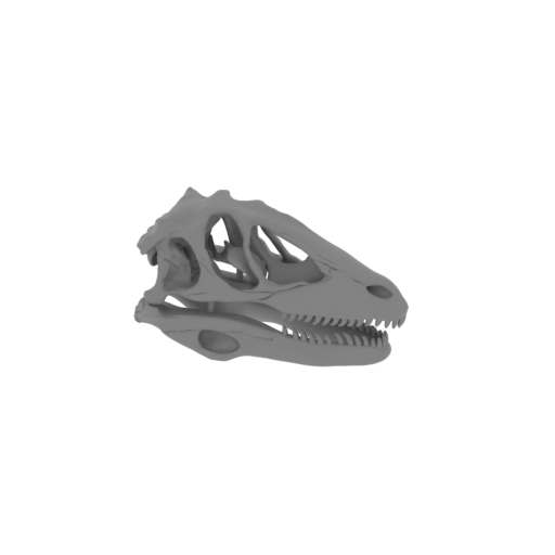 Boreonykus Skull.stl
