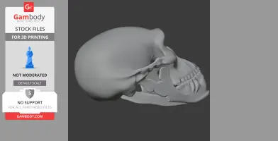 3D-rendered Borogovia skull replica in profile view, designed for 3D printing.