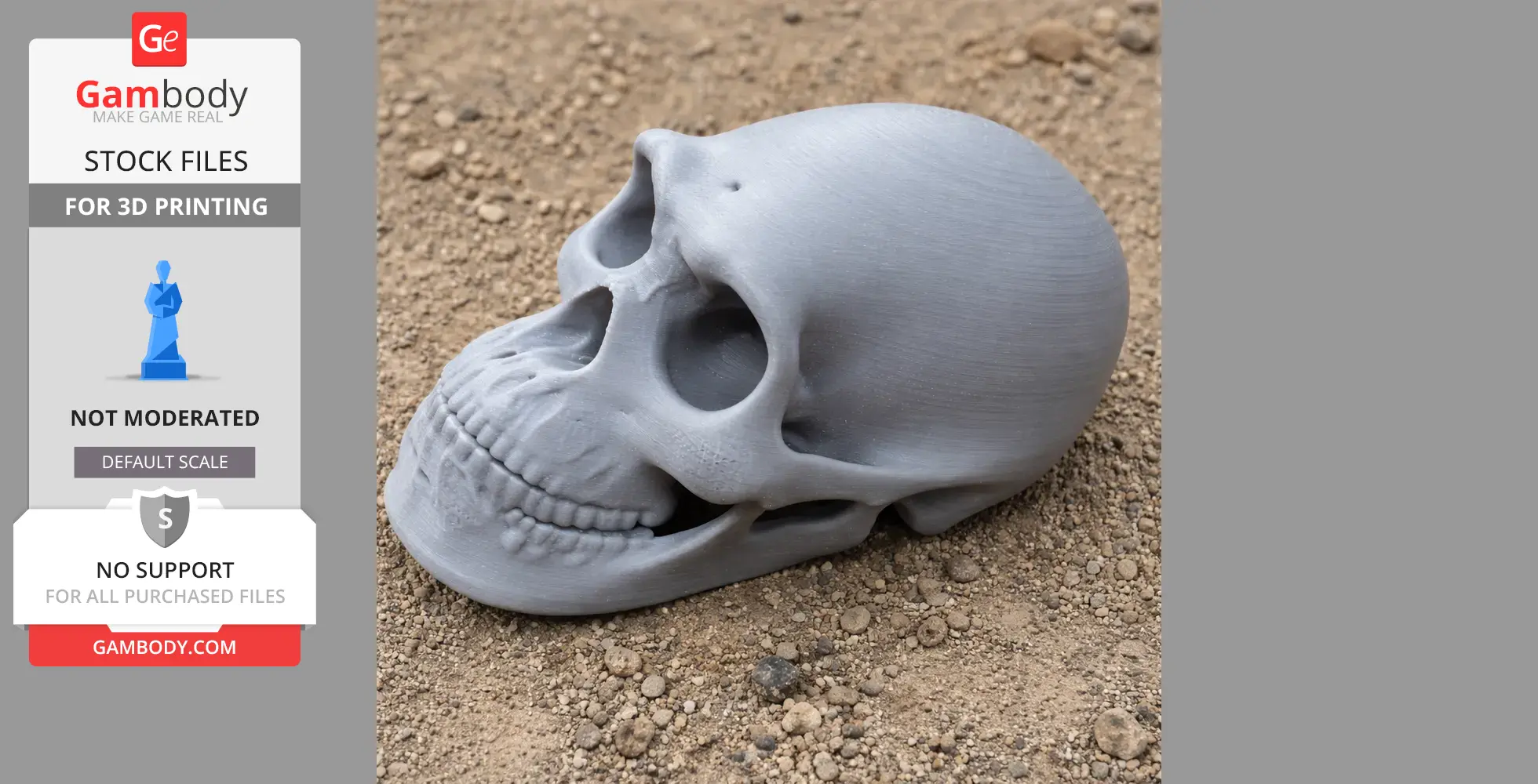 A 3D-printed replica of a Borogovia dinosaur skull, placed on a sandy surface.