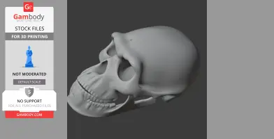 3D model of a Borogovia dinosaur skull, side view, detailed and designed for 3D printing.