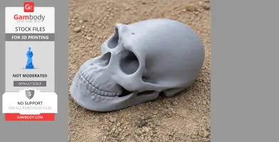 A 3D-printed replica of a Borogovia dinosaur skull, placed on a sandy surface.