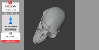 3D model of a Borogovia skull, featuring detailed bone structure, designed for 3D printing.
