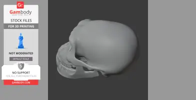3D model of a Borogovia skull replica, side view, for 3D printing from Gambody.