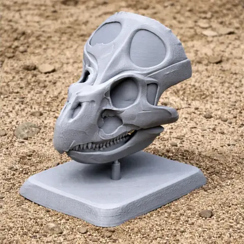 3D-printed Breviceratops skull replica on a display stand, set on sandy ground.