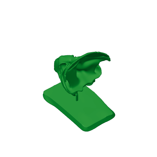 Breviceratops Skull.3mf