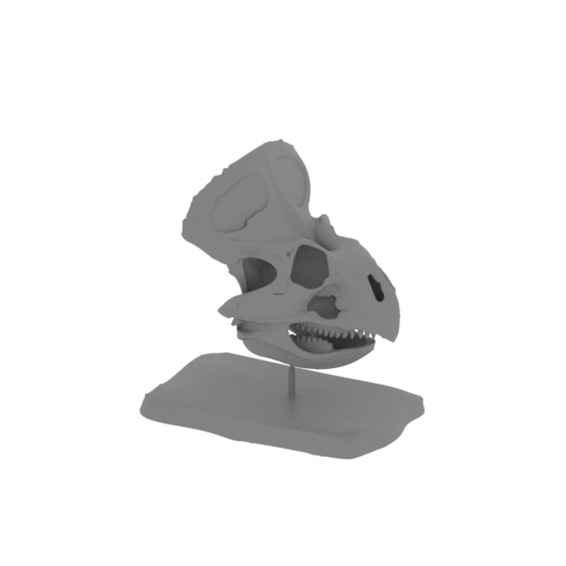 Breviceratops Skull.stl