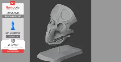 3D-printed Breviceratops skull replica on a display stand.