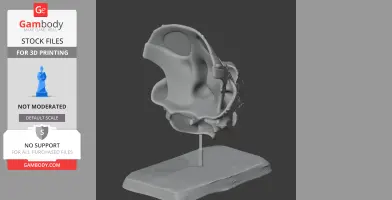 3D model of a Breviceratops skull on a stand, designed for 3D printing, shown in grayscale.