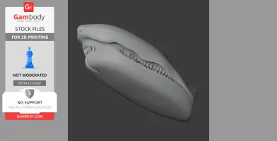 Caihong Skull - Skull Replica STL