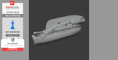 Caihong Skull - Skull Replica STL