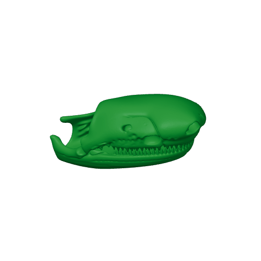 Caihong Skull.3mf