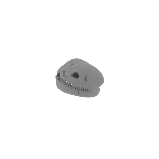 Caihong Skull.stl