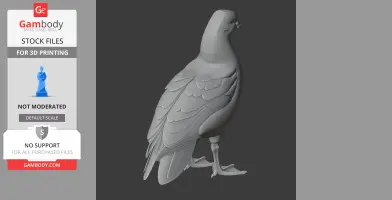 3D model of a detailed Andean goose, side view, ready for 3D printing.