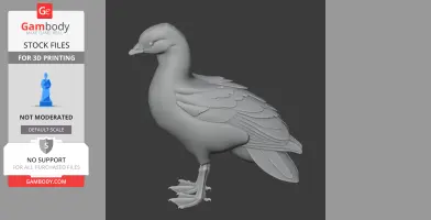 3D model of an Andean goose with detailed feathers, standing upright, suitable for 3D printing.