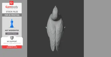 Top view of a 3D printable Andean goose model with detailed feathers.