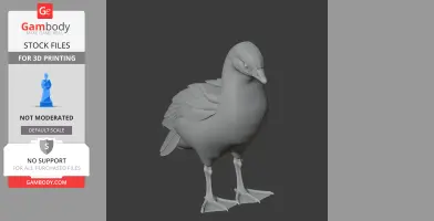 3D model of an Andean goose with detailed feathers, designed for 3D printing.