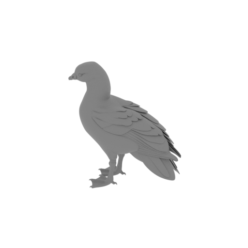 Andean goose.stl