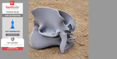 Caletodraco Skull - Skull Replica STL
