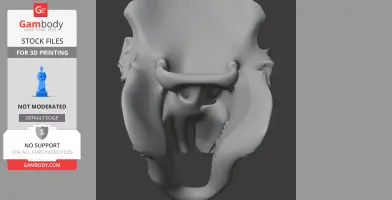 Caletodraco Skull - Skull Replica STL