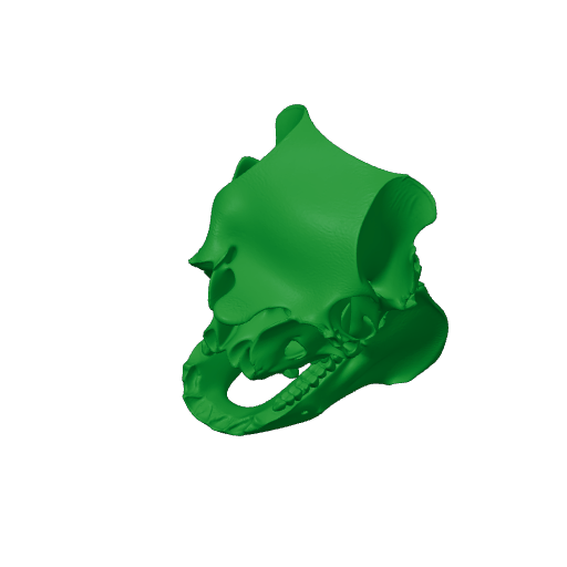 Caletodraco Skull.3mf