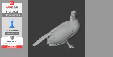 A 3D model of an Andean guan bird standing, designed for 3D printing, with detailed feathers and features.