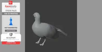 3D model of an Andean guan, depicting a plump bird standing with detailed legs and feathers.