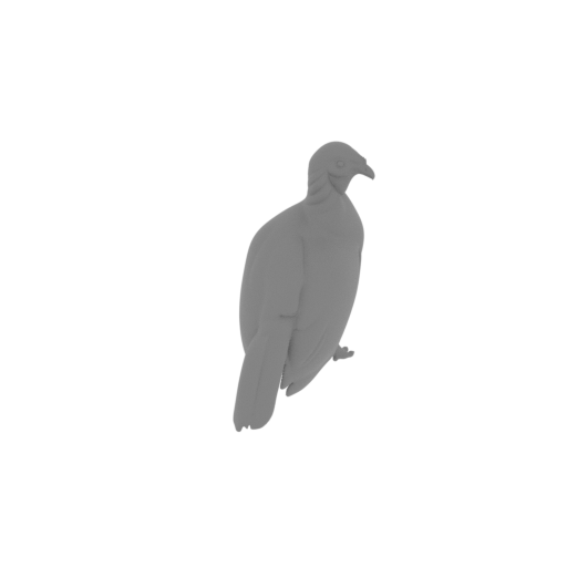Andean guan.stl