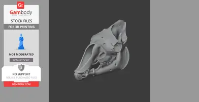 3D model of a Camelotia dinosaur skull, detailed for 3D printing use.