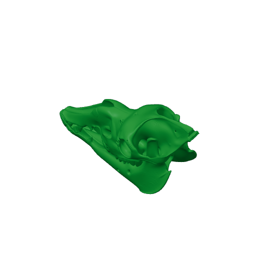 Camelotia Skull.3mf
