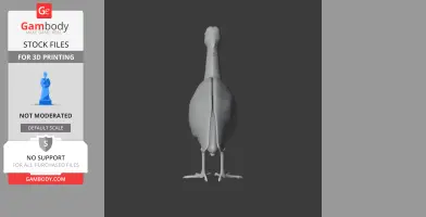A 3D model of an Andean ibis viewed from the front, showcasing detailed legs and body structure.