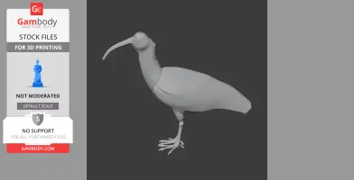 3D model of an Andean ibis, depicted with a long curved beak and detailed legs for printing.