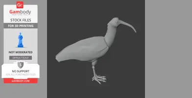 3D model of an Andean ibis, featuring its distinctive long, curved bill and detailed legs.