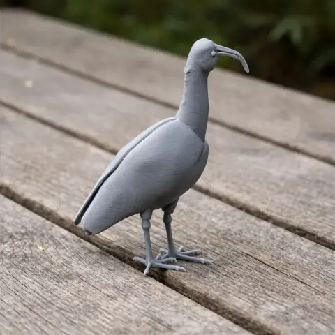 3D-printed model of an Andean ibis with a curved beak, standing on a wooden surface.