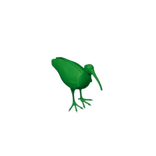 Andean ibis.3mf