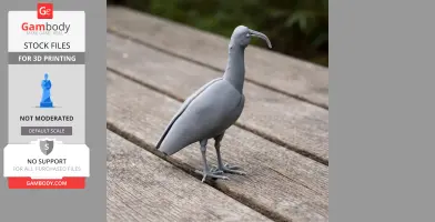 3D printed Andean ibis model standing on wooden planks, showcasing intricate details and curved beak.