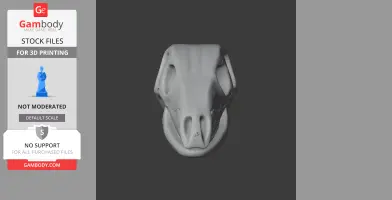 Camptosaurus Skull - Skull Replica STL