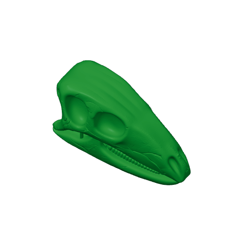 Camptosaurus Skull.3mf