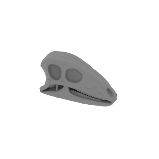Camptosaurus Skull.stl